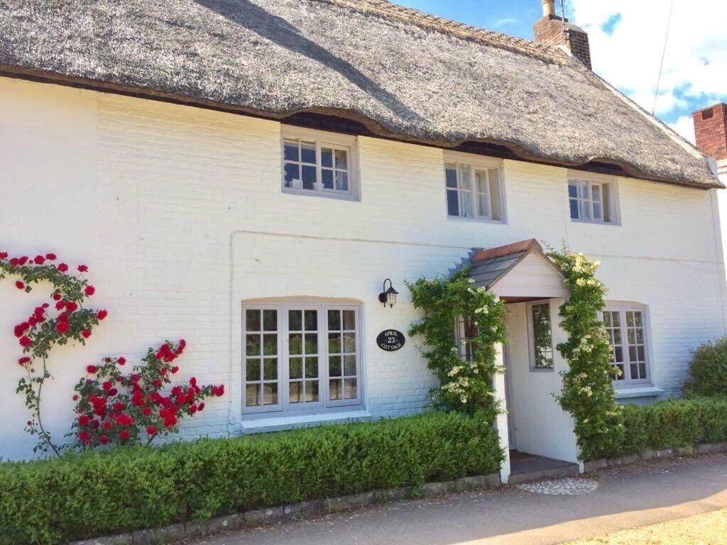 The Guest house